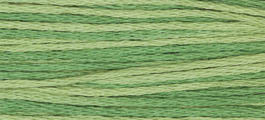 Ivy #2198 by Weeks Dye Works- 5 yds Hand-Dyed, 6 Strand 100% Cotton Cross Stitch Embroidery Floss