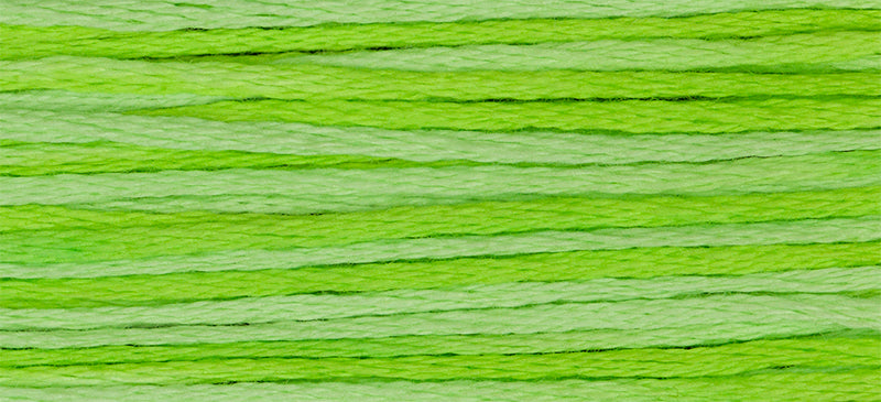 Chartreuse #2203 by Weeks Dye Works- 5 yds Hand-Dyed, 6 Strand 100% Cotton Cross Stitch Embroidery Floss
