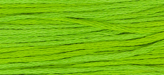 Absinthe #2204 by Weeks Dye Works- 5 yds Hand-Dyed, 6 Strand 100% Cotton Cross Stitch Embroidery Floss