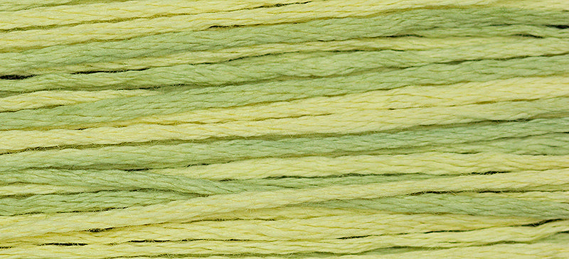Citronella #2210 by Weeks Dye Works- 5 yds Hand-Dyed, 6 Strand 100% Cotton Cross Stitch Embroidery Floss