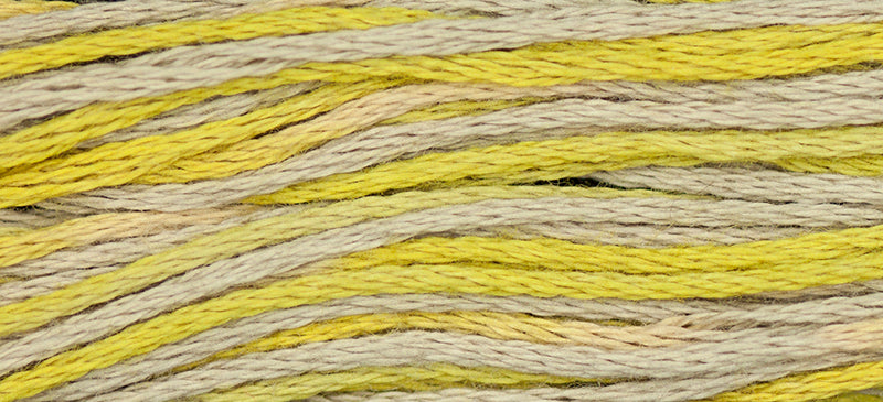 Citron #2216 by Weeks Dye Works- 5 yds Hand-Dyed, 6 Strand 100% Cotton Cross Stitch Embroidery Floss