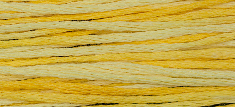 Sally's Sunshine #2218 by Weeks Dye Works- 5 yds Hand-Dyed, 6 Strand 100% Cotton Cross Stitch Embroidery Floss