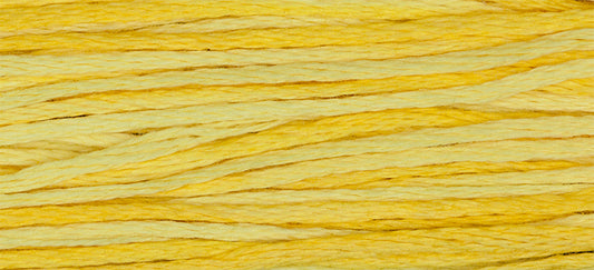 Saffron #2223 by Weeks Dye Works- 5 yds Hand-Dyed, 6 Strand 100% Cotton Cross Stitch Embroidery Floss