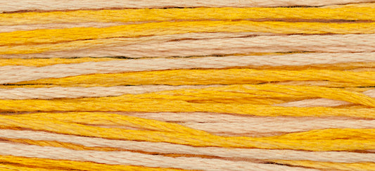 Mimosa #2231 by Weeks Dye Works- 5 yds Hand-Dyed, 6 Strand 100% Cotton Cross Stitch Embroidery Floss