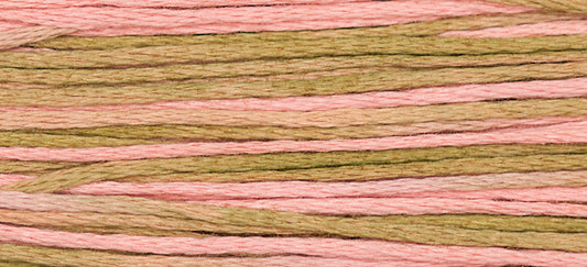 Mexicali #2251 by Weeks Dye Works- 5 yds Hand-Dyed, 6 Strand 100% Cotton Cross Stitch Embroidery Floss