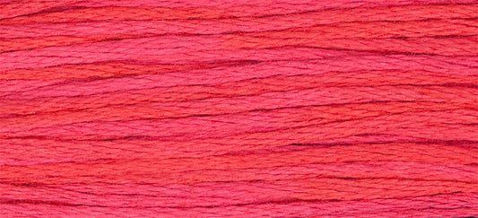 Watermelon Punch #2262 by Weeks Dye Works- 5 yds Hand-Dyed, 6 Strand 100% Cotton Cross Stitch Embroidery Floss
