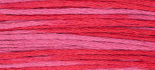 Begonia #2263 by Weeks Dye Works- 5 yds Hand-Dyed, 6 Strand 100% Cotton Cross Stitch Embroidery Floss