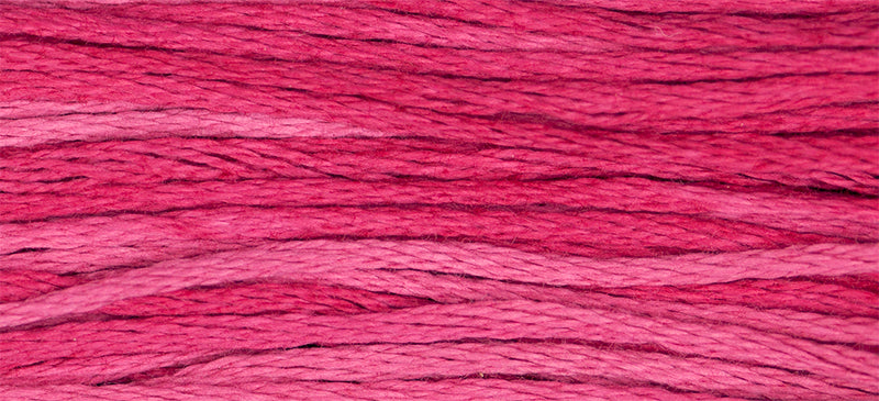 Strawberry Fields #2265 by Weeks Dye Works- 5 yds Hand-Dyed, 6 Strand 100% Cotton Cross Stitch Embroidery Floss