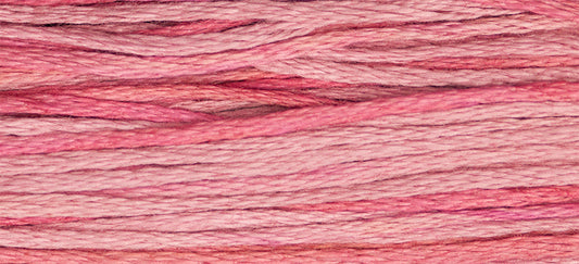 Camellia #2276 by Weeks Dye Works- 5 yds Hand-Dyed, 6 Strand 100% Cotton Cross Stitch Embroidery Floss