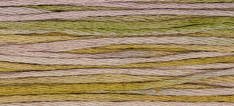 Thistle #2286 by Weeks Dye Works- 5 yds Hand-Dyed, 6 Strand 100% Cotton Cross Stitch Embroidery Floss