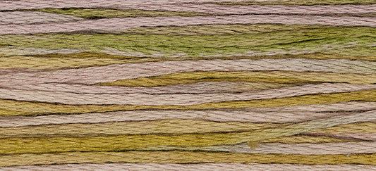 Thistle #2286 by Weeks Dye Works- 5 yds Hand-Dyed, 6 Strand 100% Cotton Cross Stitch Embroidery Floss