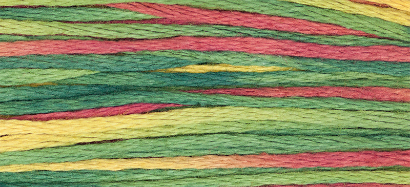 Noel #4105 by Weeks Dye Works- 5 yds Hand-Dyed, 6 Strand 100% Cotton Cross Stitch Embroidery Floss