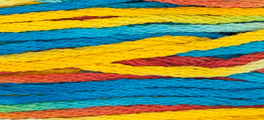 Confetti #4107 by Weeks Dye Works- 5 yds Hand-Dyed, 6 Strand 100% Cotton Cross Stitch Embroidery Floss