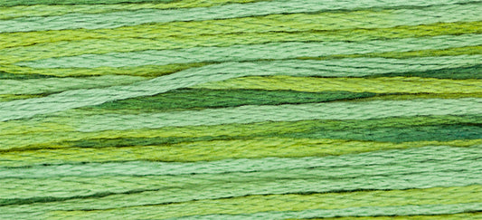 Lucky #4111 by Weeks Dye Works- 5 yds Hand-Dyed, 6 Strand 100% Cotton Cross Stitch Embroidery Floss