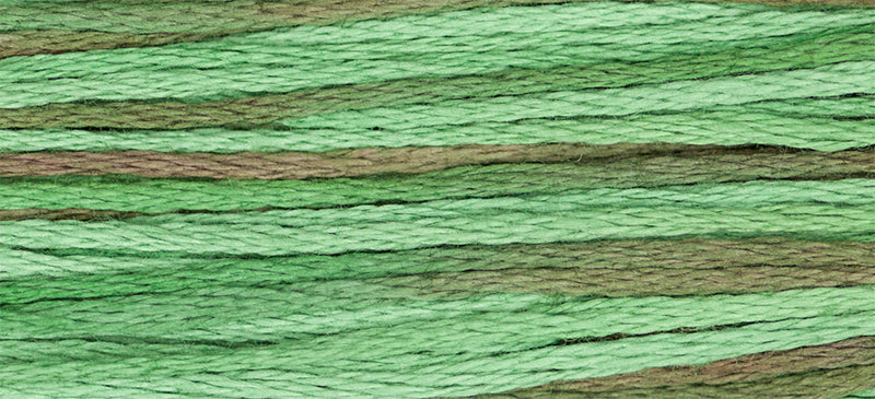 Foliage #4135 by Weeks Dye Works- 5 yds Hand-Dyed, 6 Strand 100% Cotton Cross Stitch Embroidery Floss