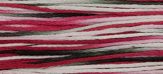 Santa Claus #4137 by Weeks Dye Works- 5 yds Hand-Dyed, 6 Strand 100% Cotton Cross Stitch Embroidery Floss