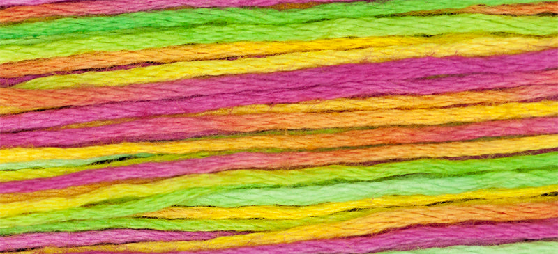 Calypso #4143 by Weeks Dye Works- 5 yds Hand-Dyed, 6 Strand 100% Cotton Cross Stitch Embroidery Floss