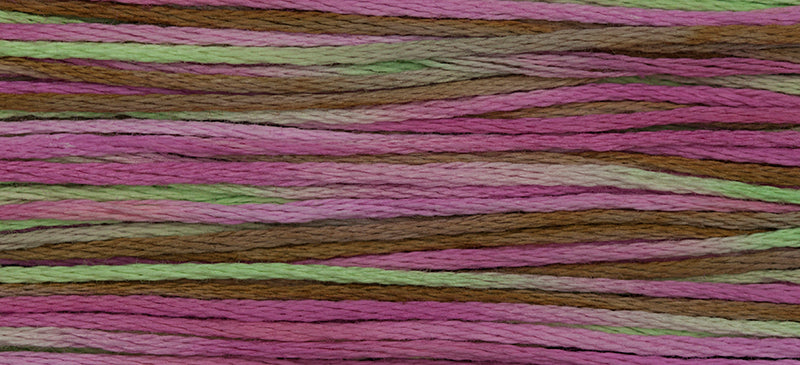 Spumoni #4147 by Weeks Dye Works- 5 yds Hand-Dyed, 6 Strand 100% Cotton Cross Stitch Embroidery Floss