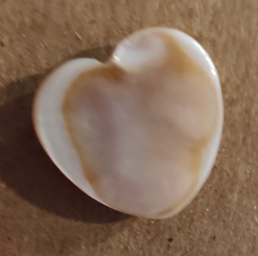 Needle Minder - White Pearl Heart
