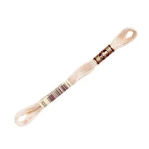 DMC 3033 -  6 Strand Embroidery Floss
