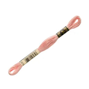 DMC 3779 - 6 Strand Embroidery Floss