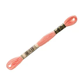 DMC 3824- 6 Strand Embroidery Floss