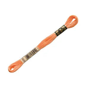DMC 3825- 6 Strand Embroidery Floss