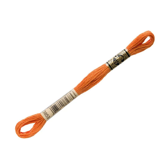 DMC 3853 - 6 Strand Embroidery Floss