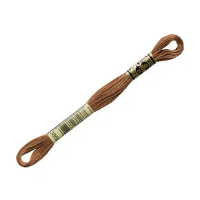 DMC 3862 - 6 Strand Embroidery Floss