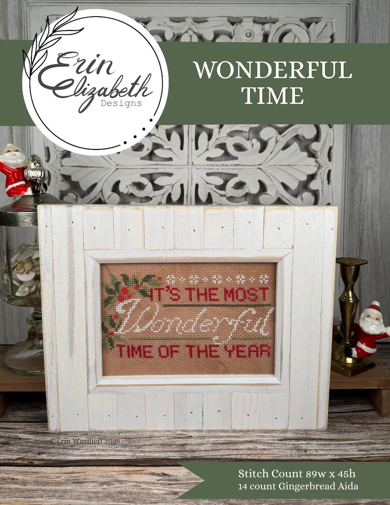 Wonderful Time - Erin Elizabeth