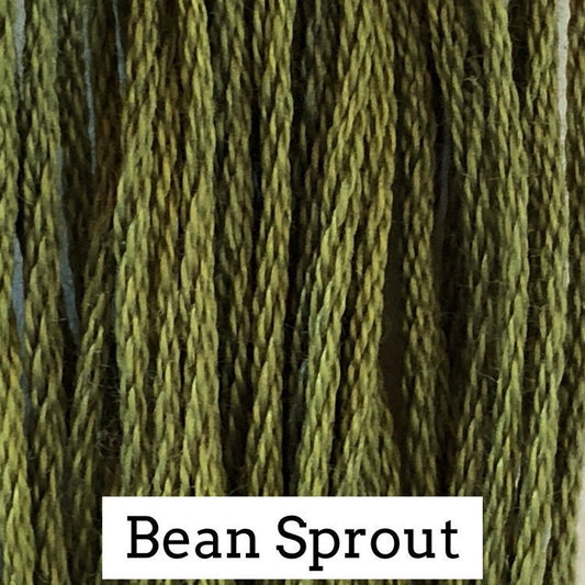 Bean Sprout by Classic Colorworks - 5 yds, Hand-Dyed, 6 Strand, 100% Cotton, Cross Stitch Embroidery Floss