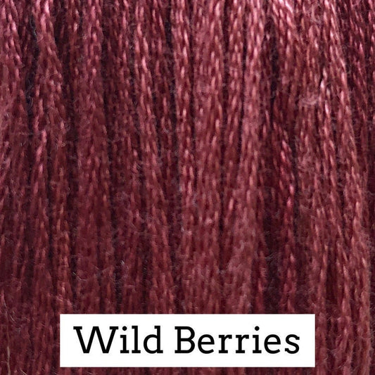 Wild Berries by Classic Colorworks - 5 yds, Hand-Dyed, 6 Strand, 100% Cotton, Cross Stitch Embroidery Floss